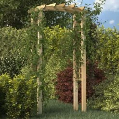 Arche En Treillis 110x60x220 Cm Bois De Pin Massif Imprégné