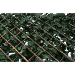 CATRAL - Treillis Extensible Avec Feuilles Basic - 1x2m