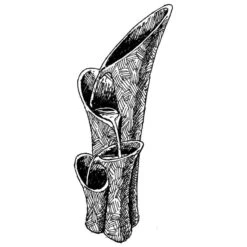 Ubbink AcquaArte Dispositif D'eau Montreux 1387067 -Mobilier De Jardin Soldes ubbink acquaarte dispositif d eau montreux 1387067 3666722181235 1216959